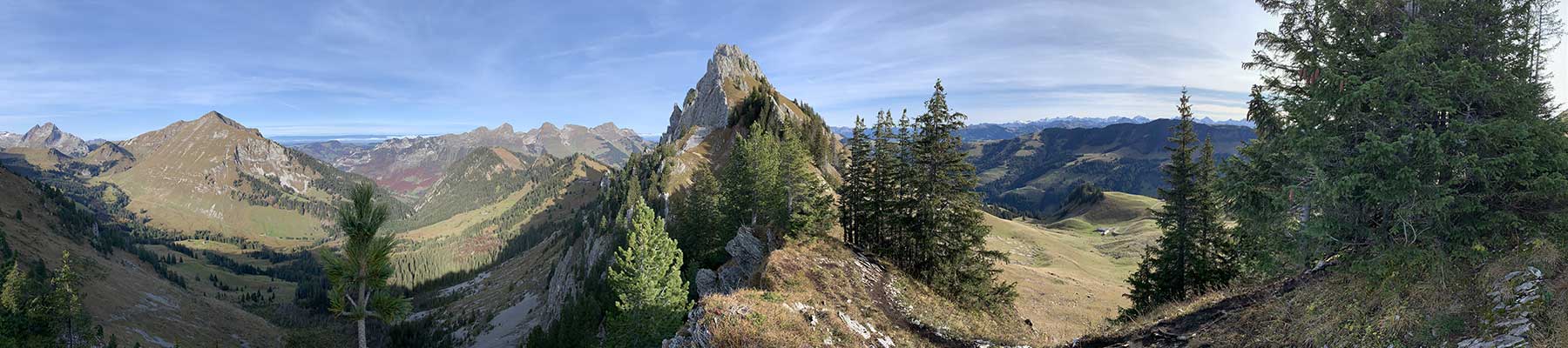 Panorama