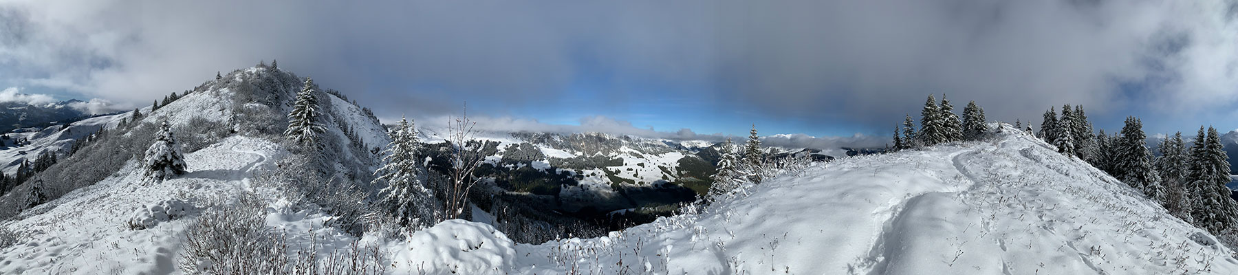 Panorama